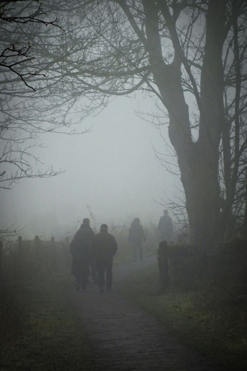 fog walking winter