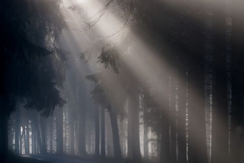 fog light beam mystical