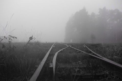 fog landscape moorland