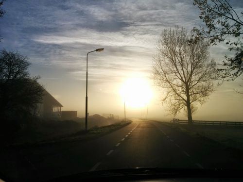 fog sun morning