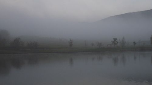 fog landscape nature