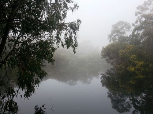fog island lake