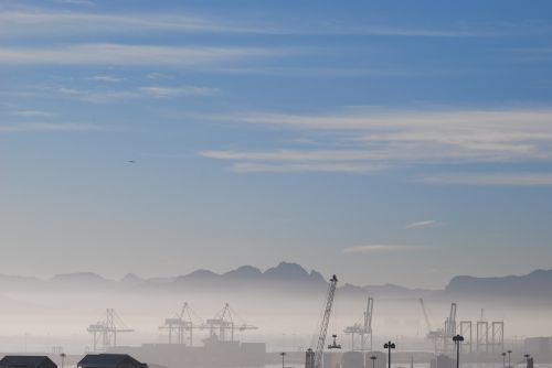 fog cranes landscape
