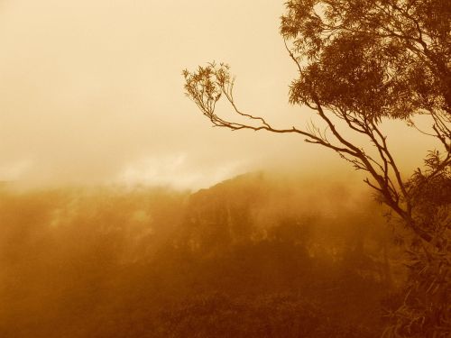 fog morning blue mountains