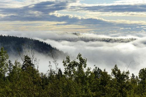 fog bank landscape clouds