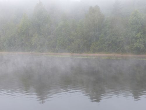fog bank river landscape