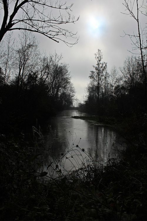 fog day creek autumn mood