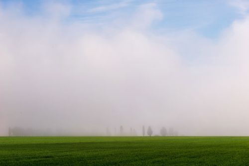 fog in the morning fog landscape