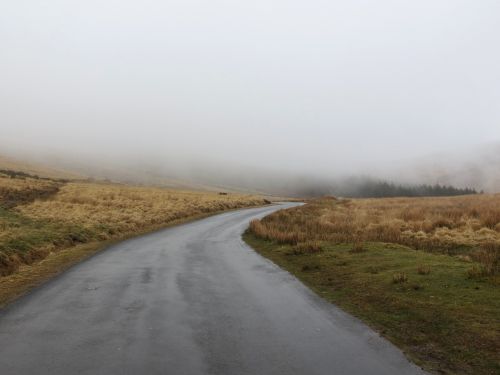 foggy roadway wet