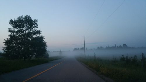 foggy road outdoor