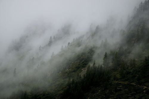 foggy landscape mist