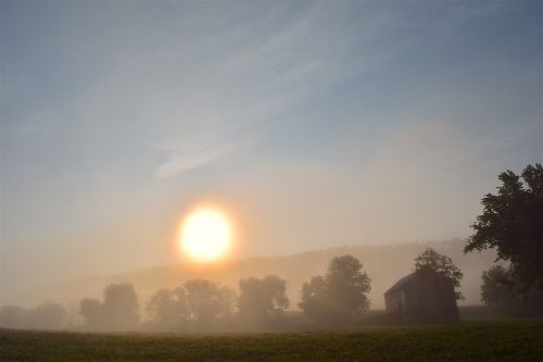 foggy morning field