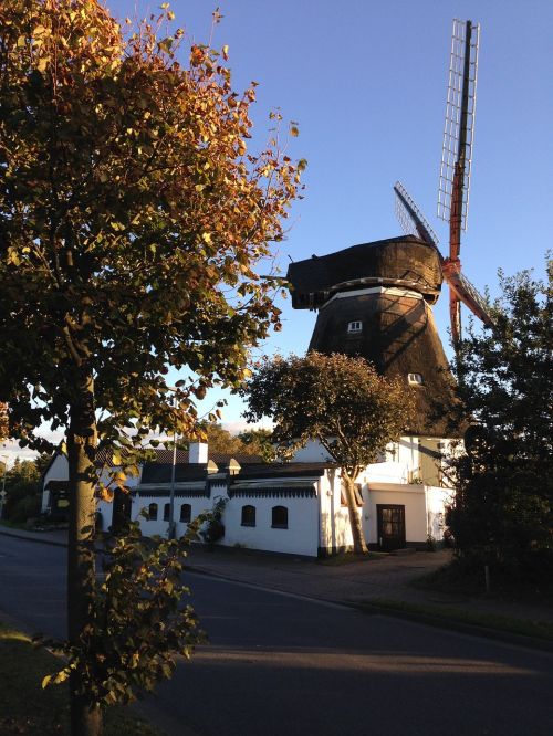 föhr windmill summer