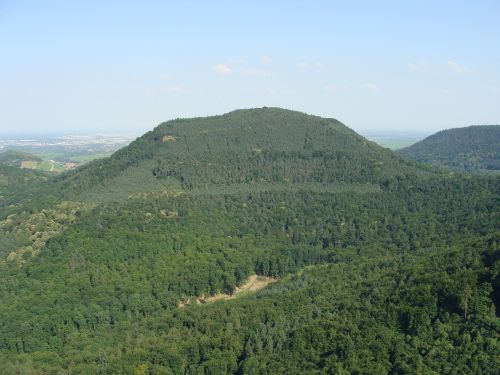 föhrlenberg palatinate forest hill