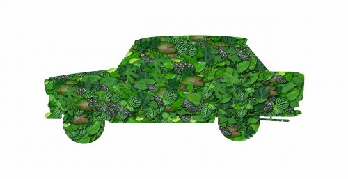 foliage green car green vehicle