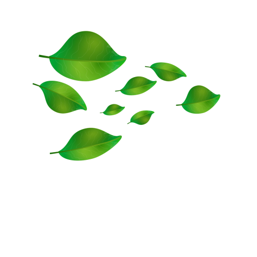 foliage graphics leaf