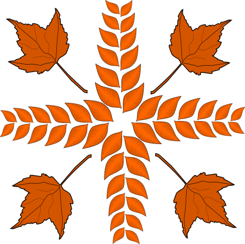 foliage dry leaves autumn