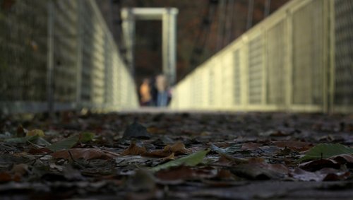 foliage  autumn  footbridge