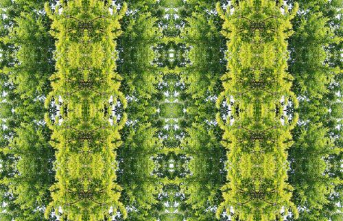 Foliage Wallpaper Pattern