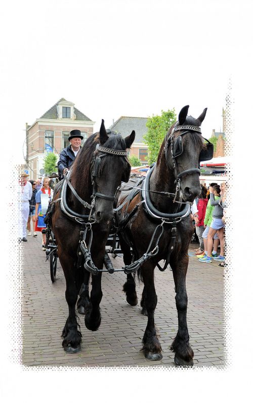 Folklore Schagen 2015