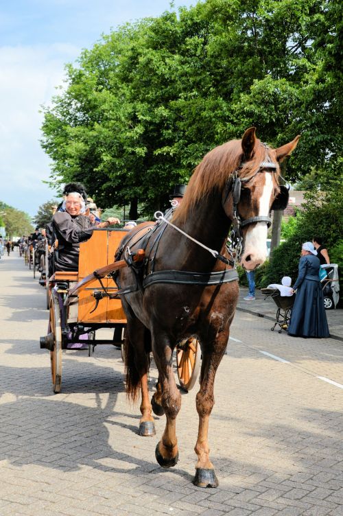 Folklore Schagen 2015