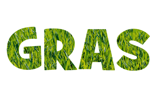 font grass texture