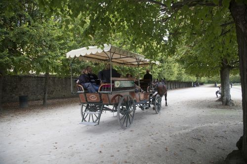 fontainebleau carriage ride