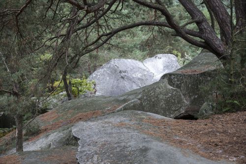 fontainebleau forest green