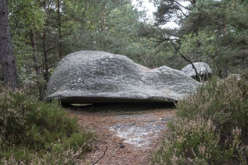 fontainebleau forest green