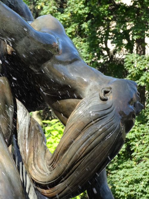 fontanna ptop bydgoszcz fountain