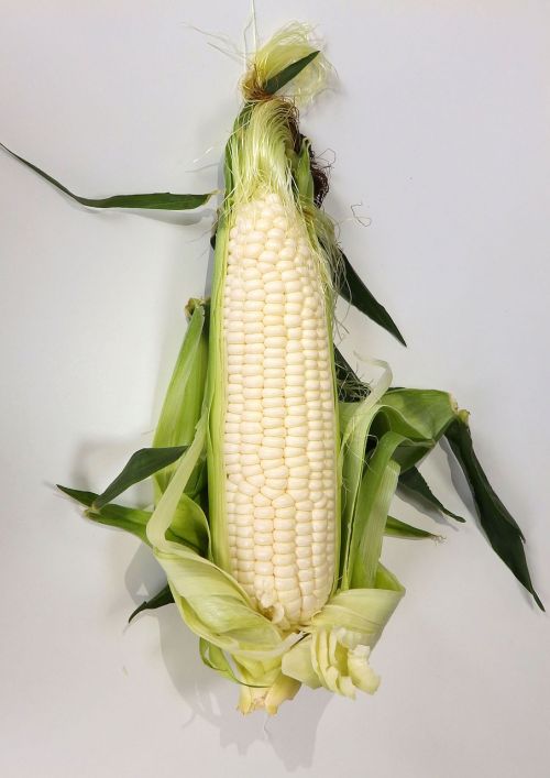 food corn cone