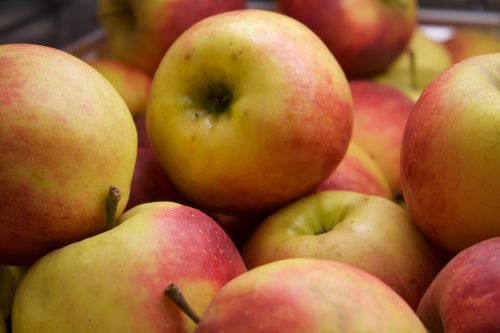 apple fruit food