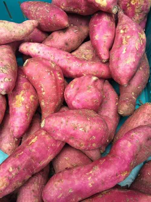 pink potato vegetable market