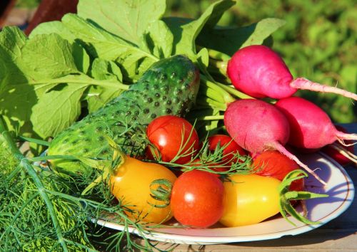 food tomatoes vegetables