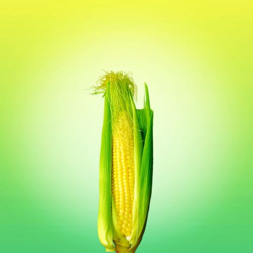 food corn yellow