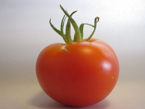 food tomato vegan