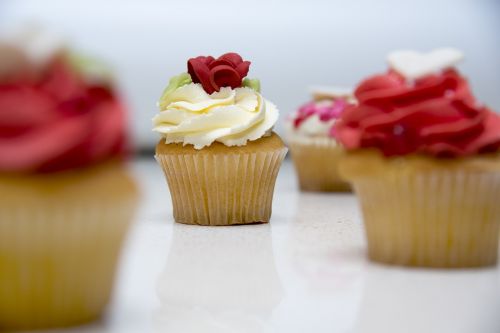 food cupcake sweet