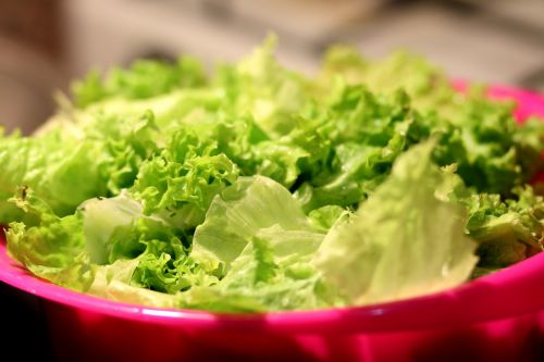 food healthy lettuce