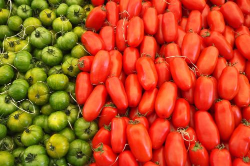 food fresh tomatoes