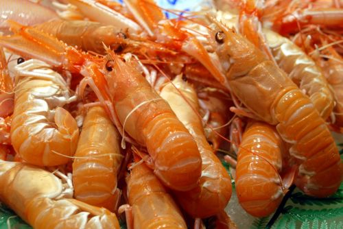 food prawn seafood