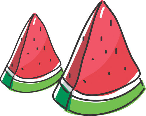 food fruit watermelon