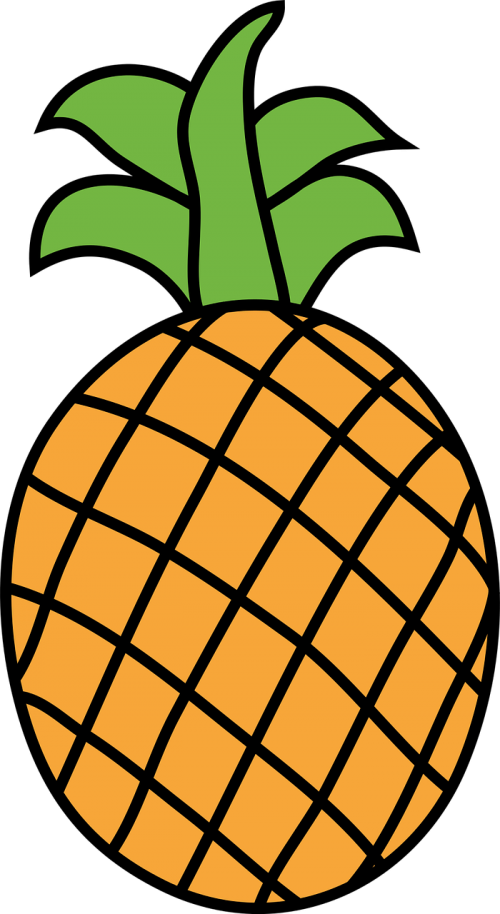 food fruit pineapple