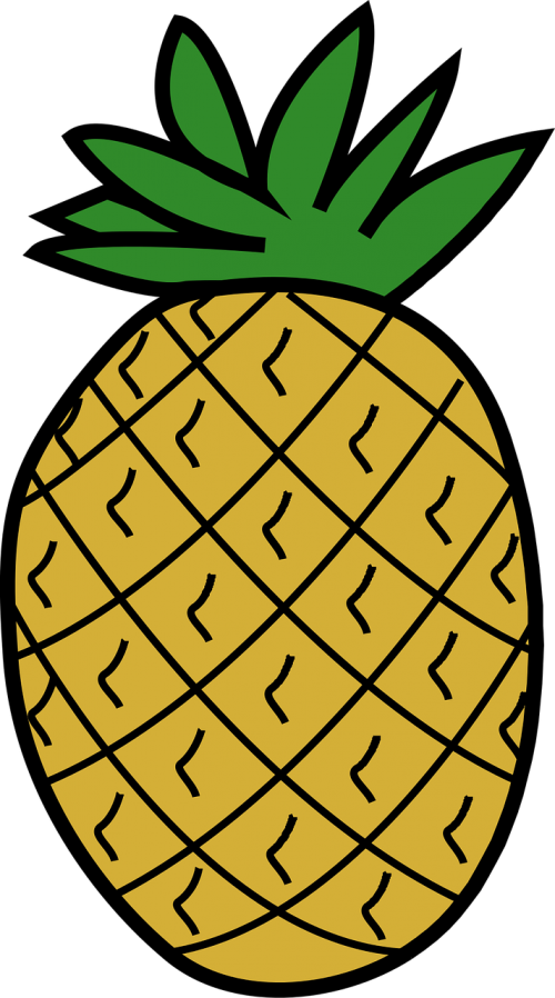 food fruit pineapple