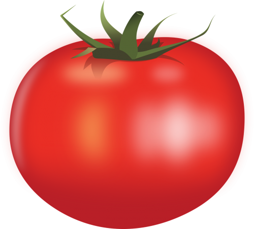 food tomato vegetable