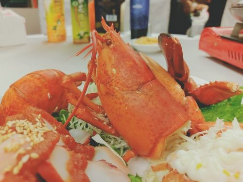 food eating lobster