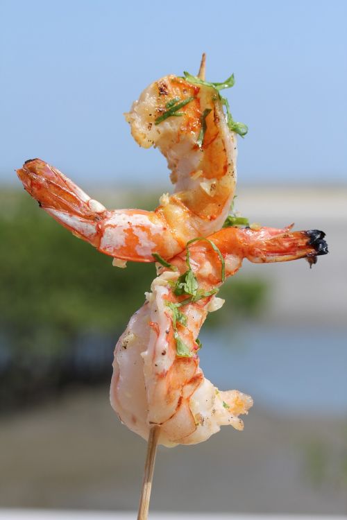 food macro shrimp
