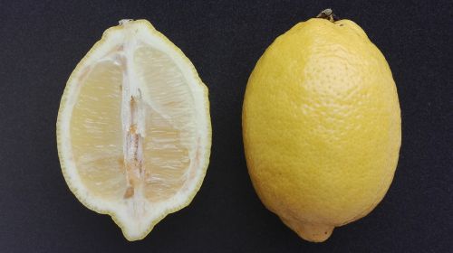 food citrus lemon