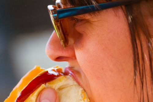food hotdog sunglasses