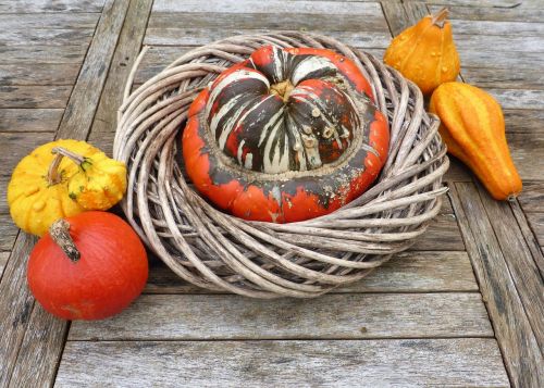 food ornamental fruit autumn