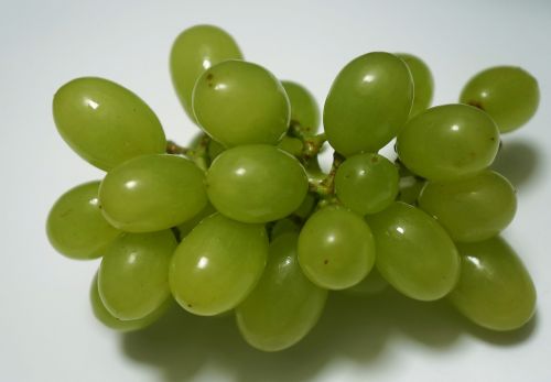 food green grapes ninh thuan